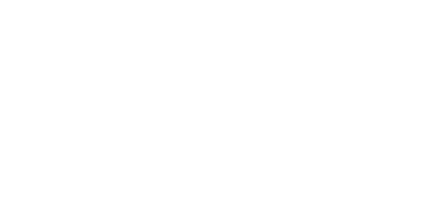 GYVSA Group