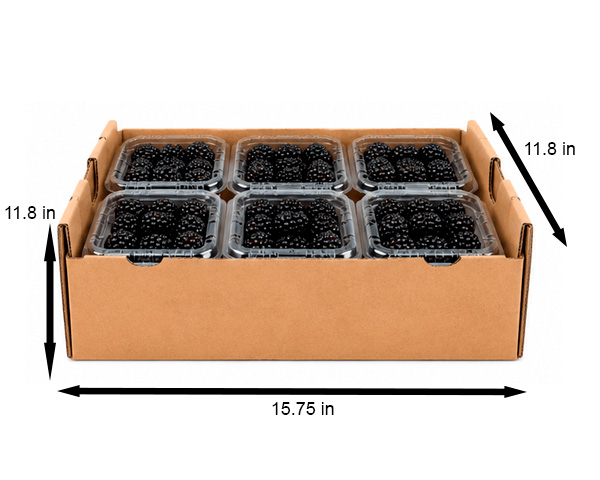blackberries