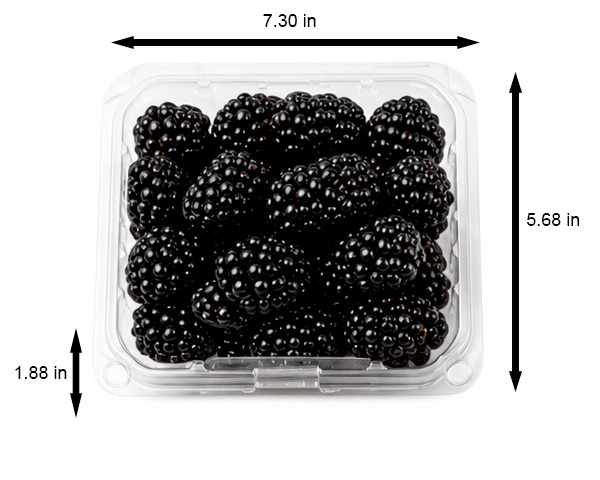 blackberries