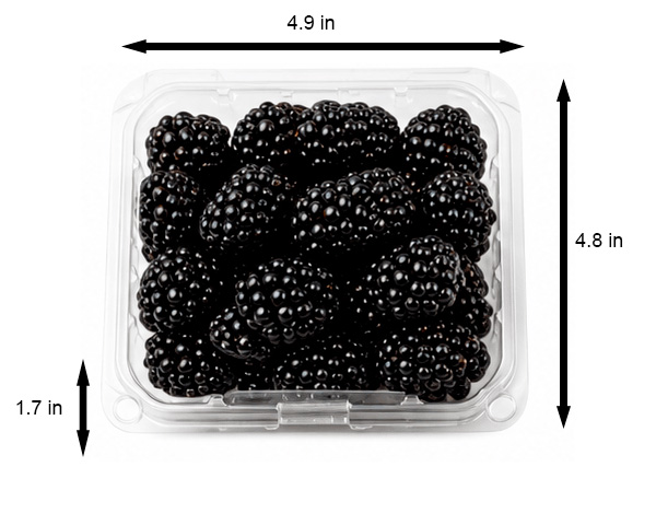 blackberries