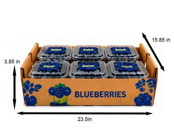 blueberries
