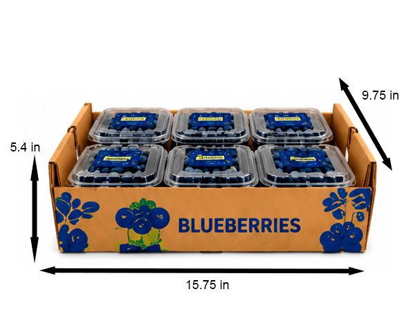 blueberries