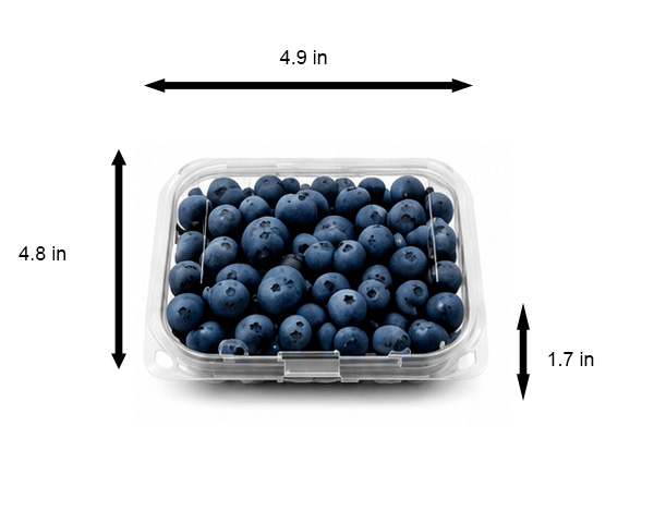 blueberries